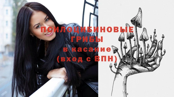 ПСИЛОЦИБИНОВЫЕ ГРИБЫ Алексин