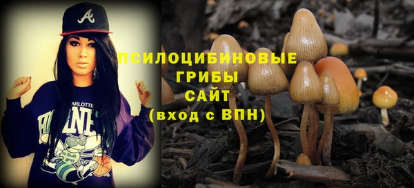 a pvp Алексеевка