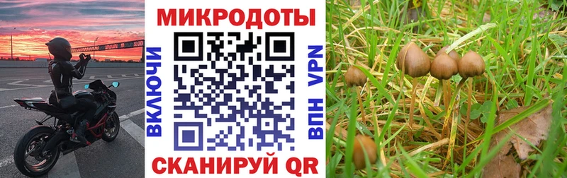 Псилоцибиновые грибы Magic Shrooms  Усинск 