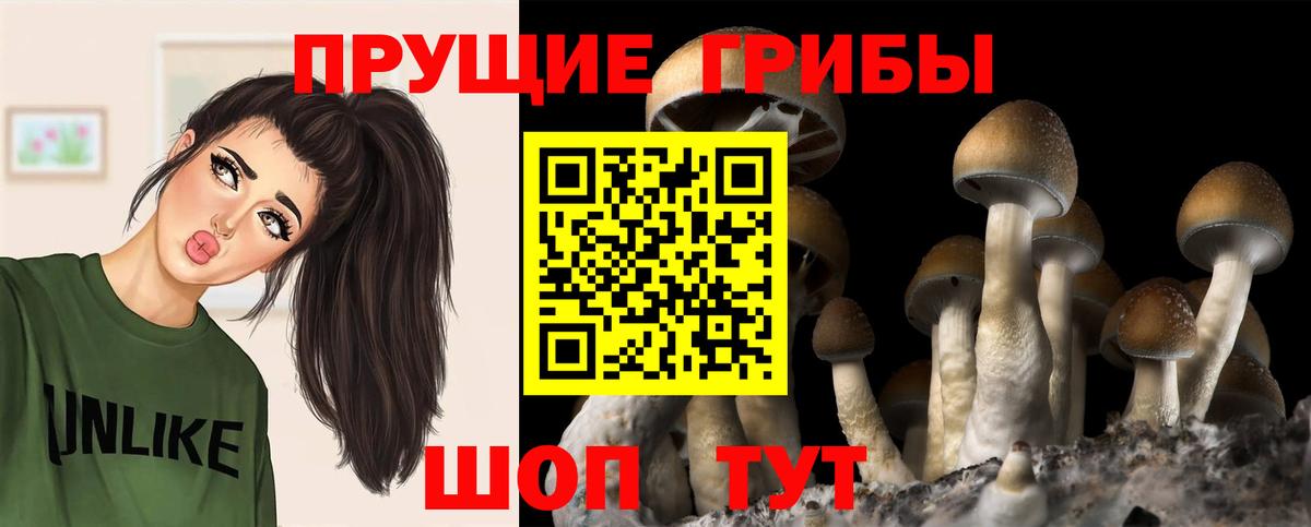 Галлюциногенные грибы Cubensis  Псилоцибиновые грибы GOLDEN TEACHER  Усинск  Вход с VPN 